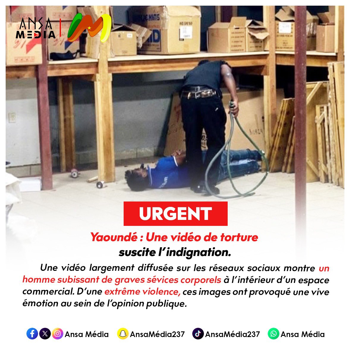 Ansa Media tweet media