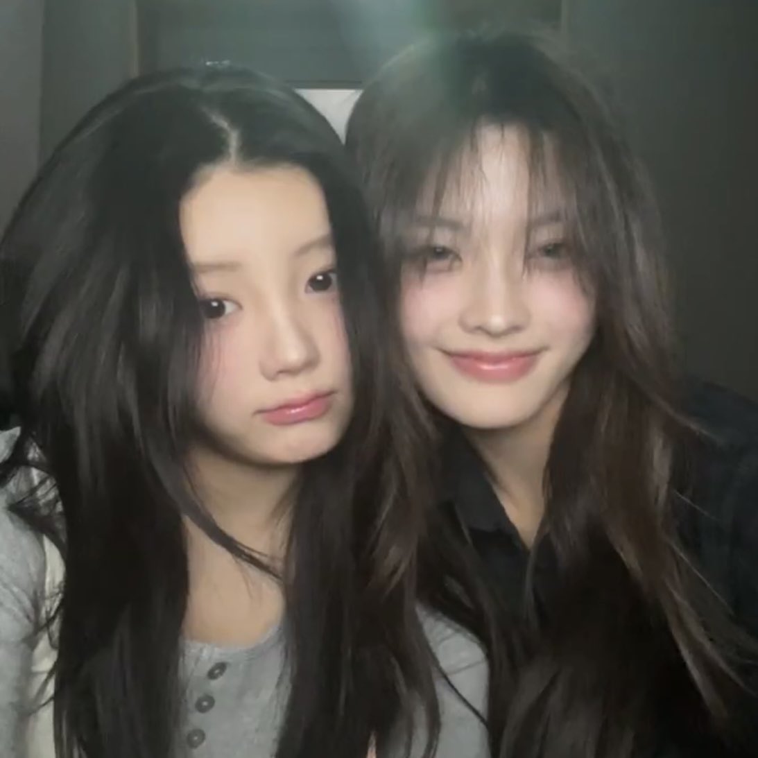 지붕 tweet media