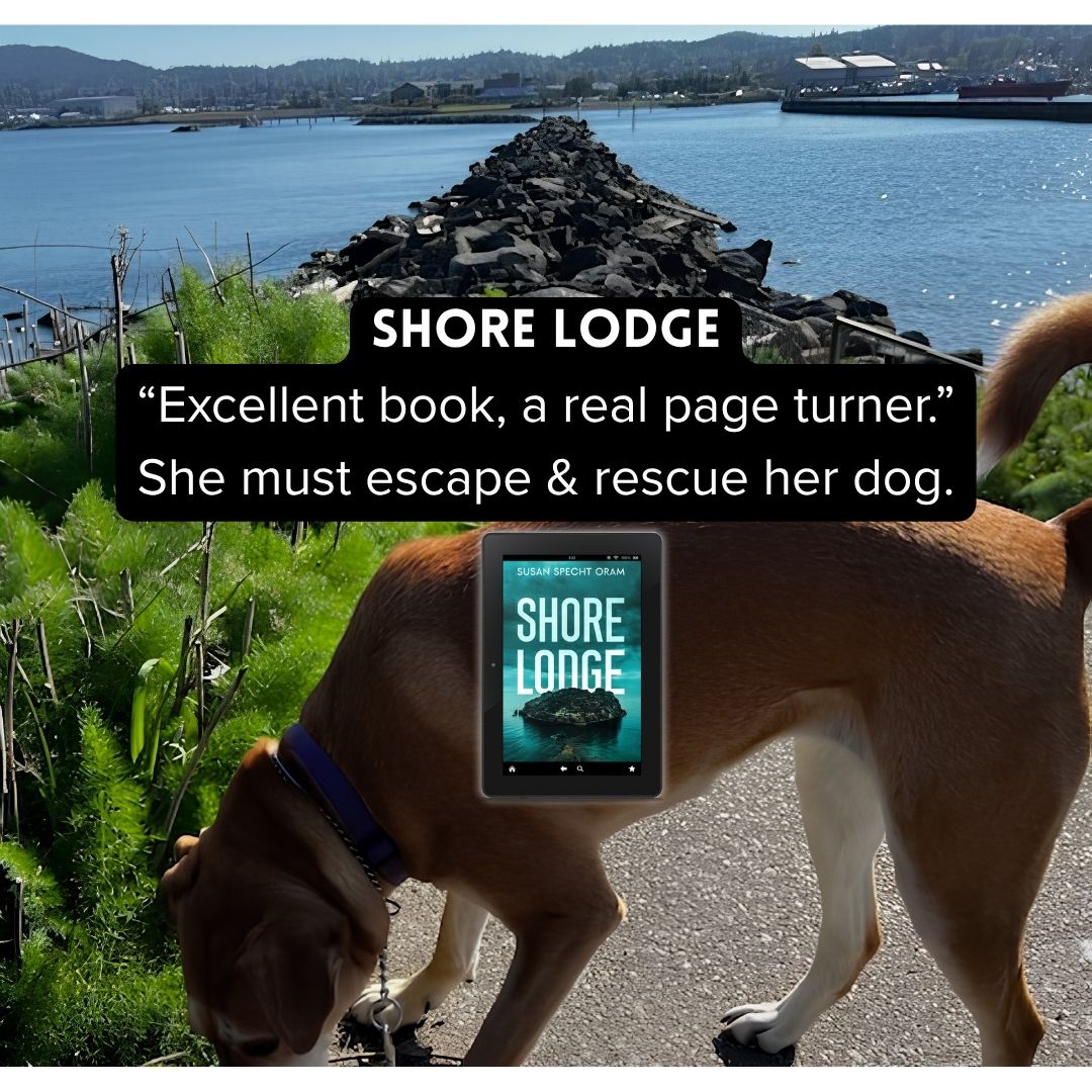 Susan Specht Oram, Mysteries-Thrillers tweet media