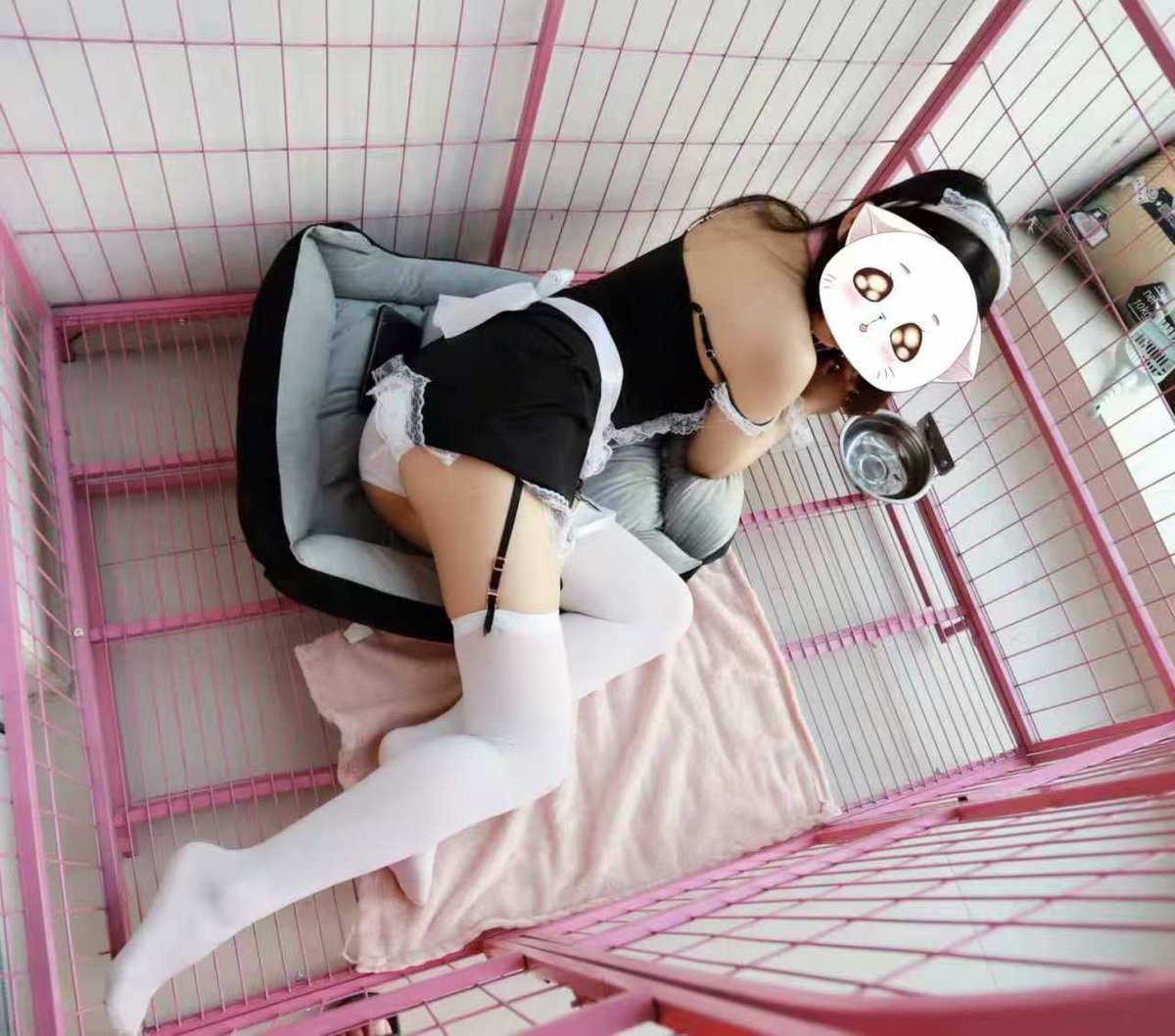 甜酒 tweet media