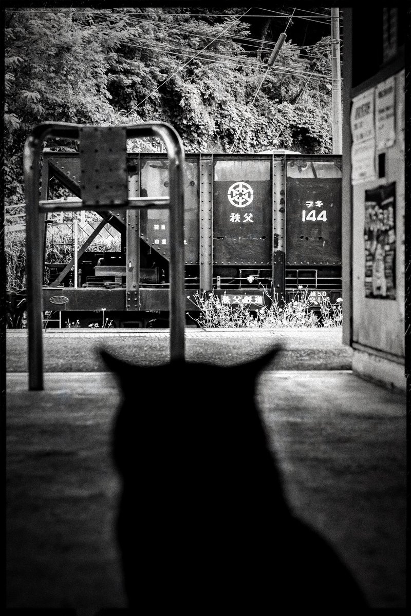 nekorail77's tweet photo. 「秩父と言えば石灰列車ですよ。ほら、わたしも黒いでしょう。」(猫談)

#駅猫
#秩父
#ローカル線
#猫 https://t.co/5m8F026l2Z