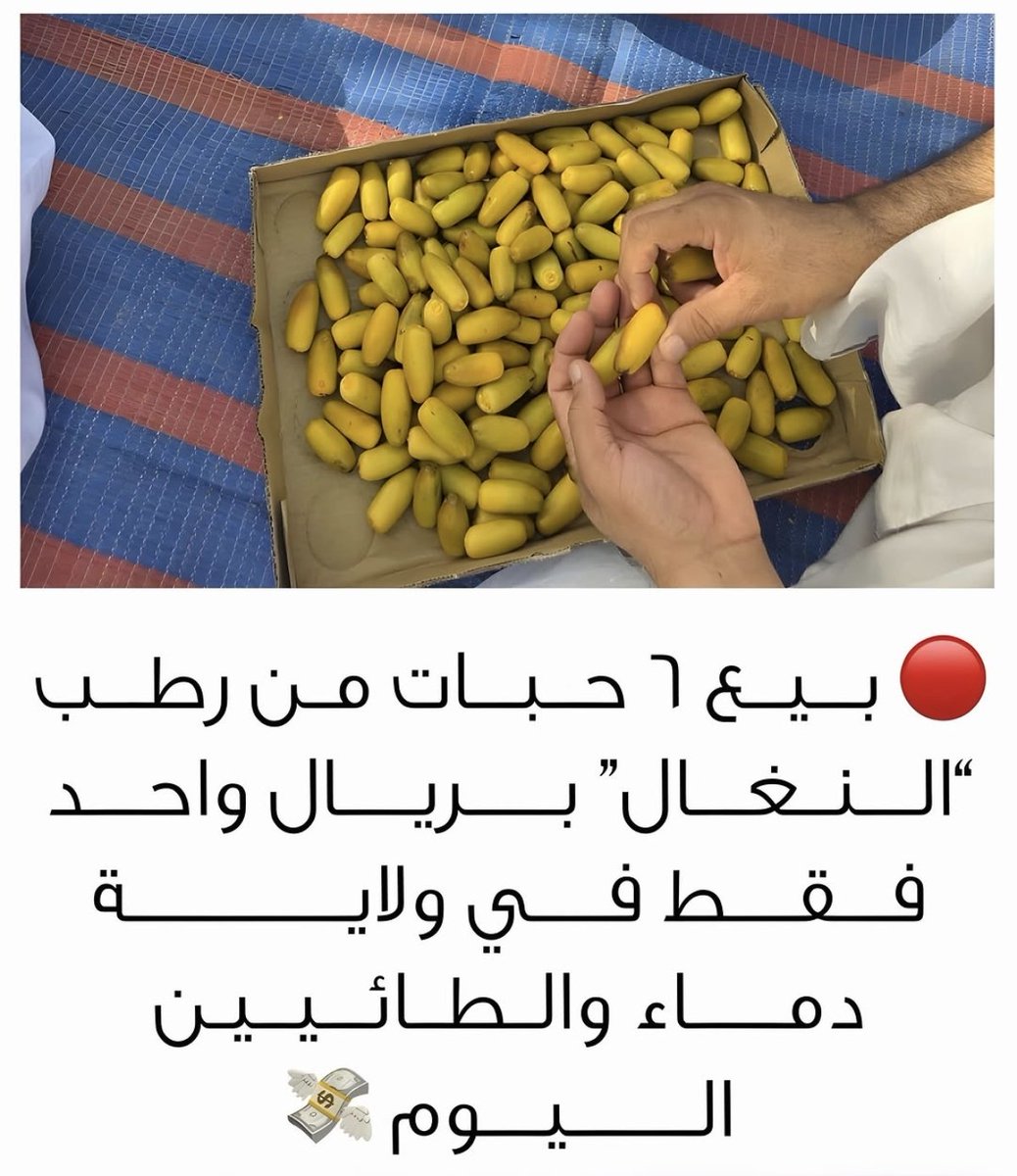 هدى الغافرية tweet media