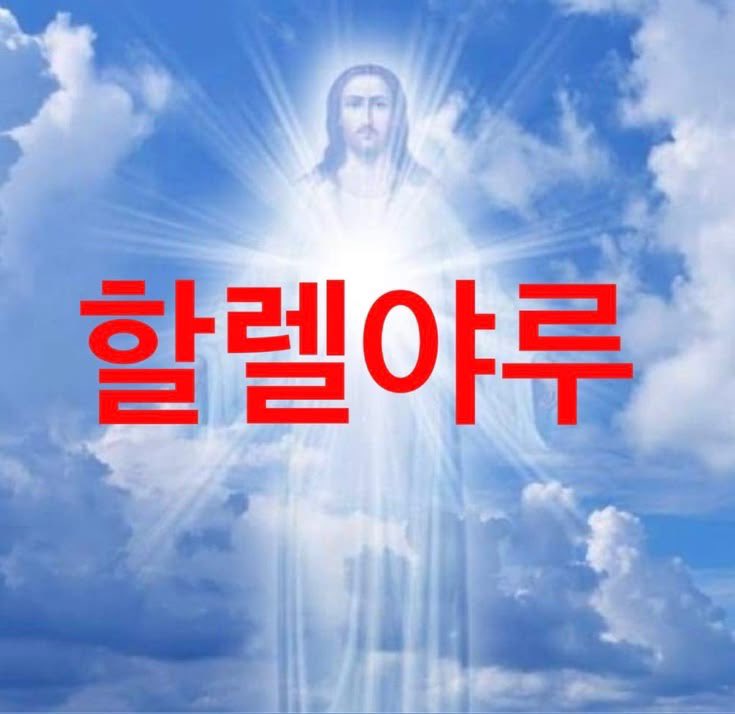 양갱 tweet media