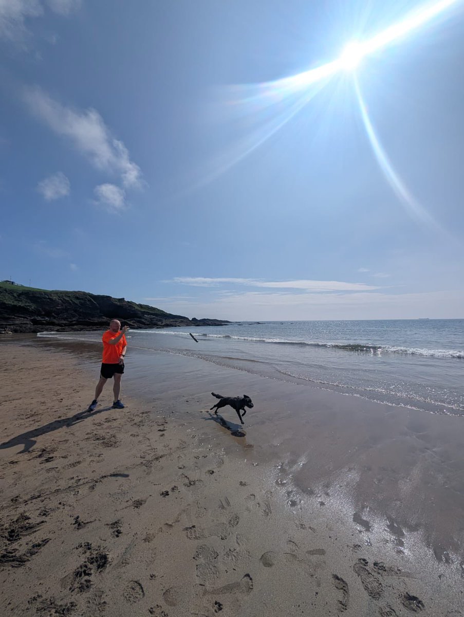 Paolomc84's tweet image. 7 mile trail run on SW coast path with sister &amp;amp; dog. One field wrong so hop the fence, sister has more difficulty getting over then little chill on the beach 👌#plymouth #ukrunchat