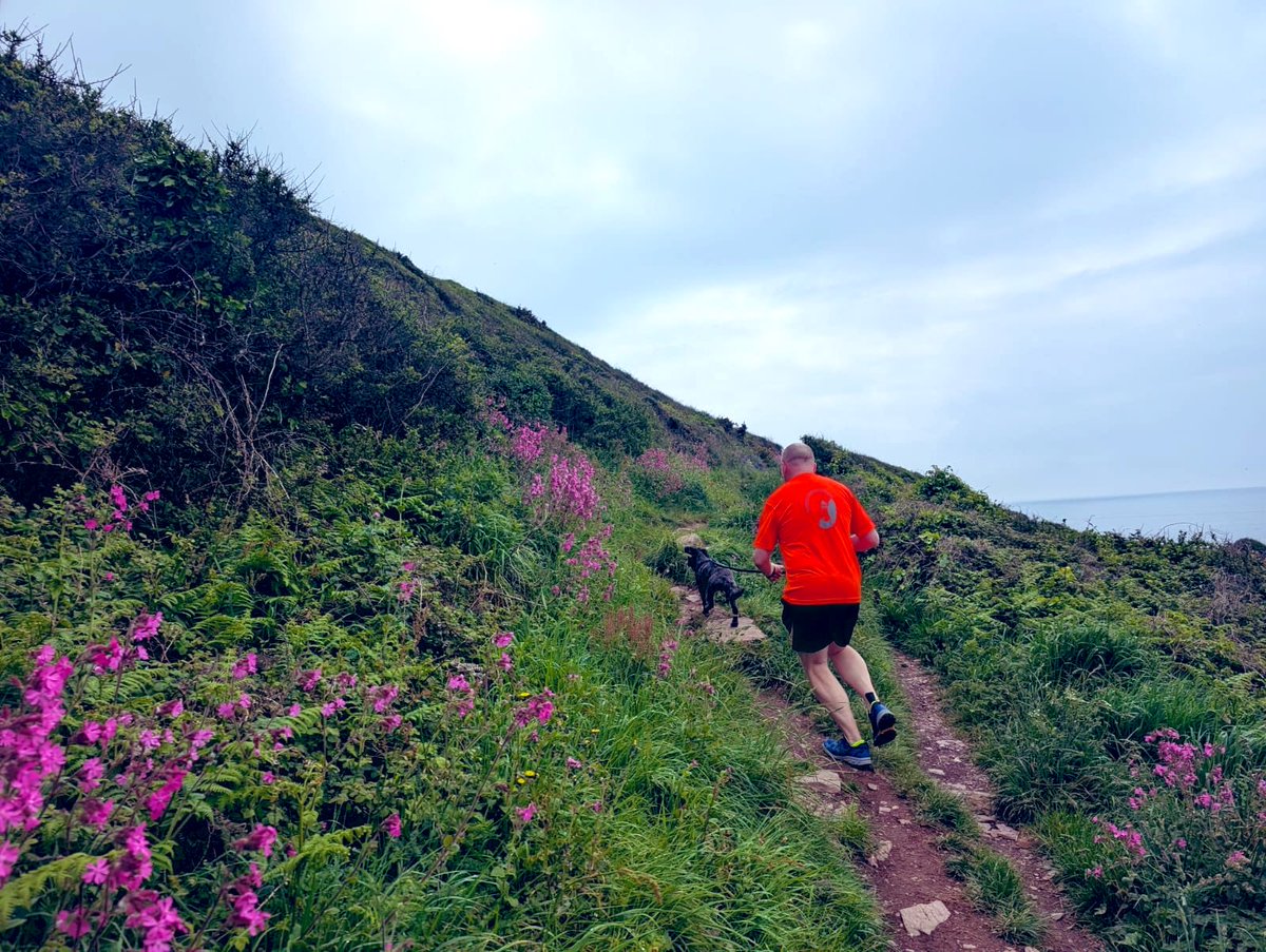 Paolomc84's tweet image. 7 mile trail run on SW coast path with sister &amp;amp; dog. One field wrong so hop the fence, sister has more difficulty getting over then little chill on the beach 👌#plymouth #ukrunchat