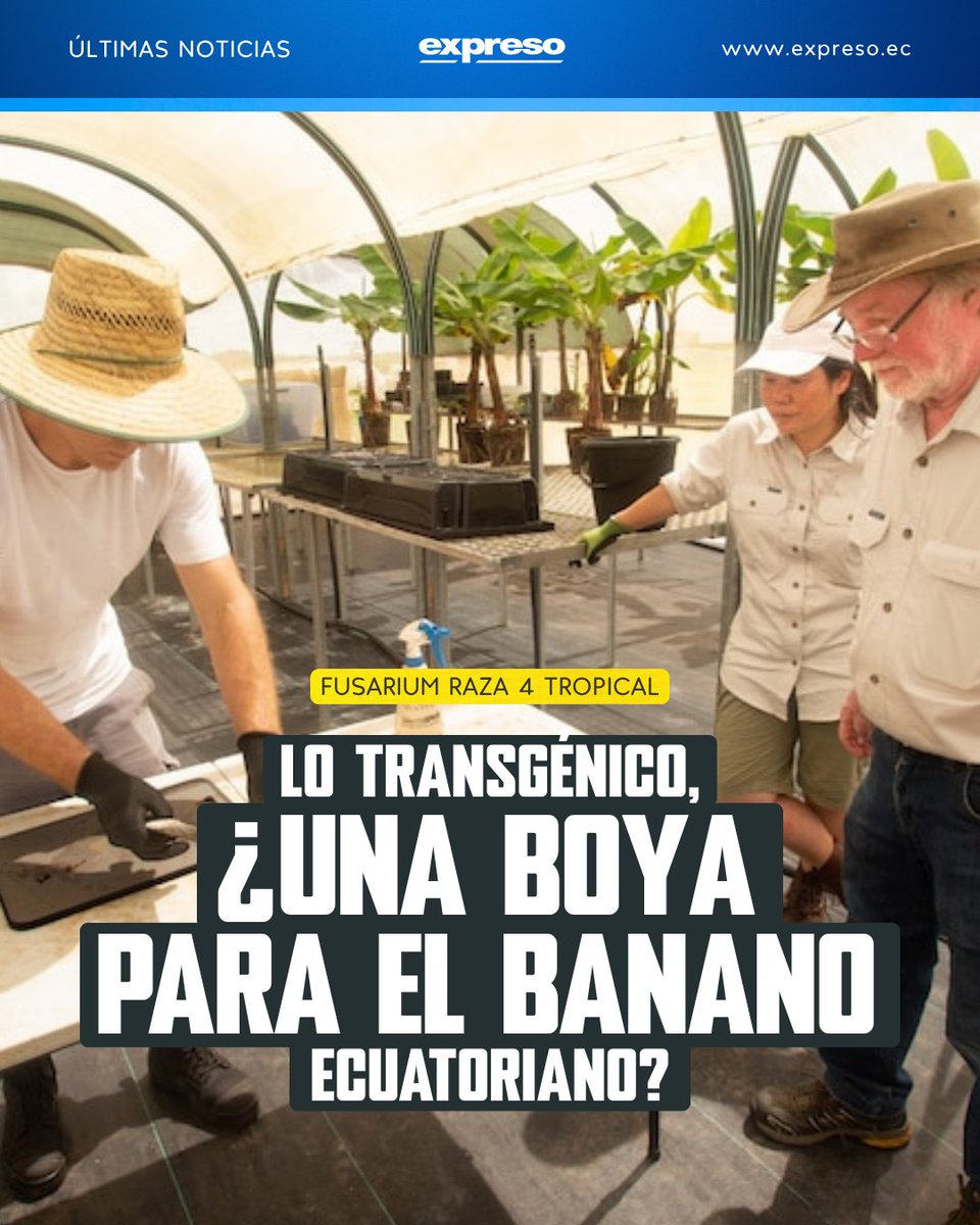 Diario Expreso tweet media