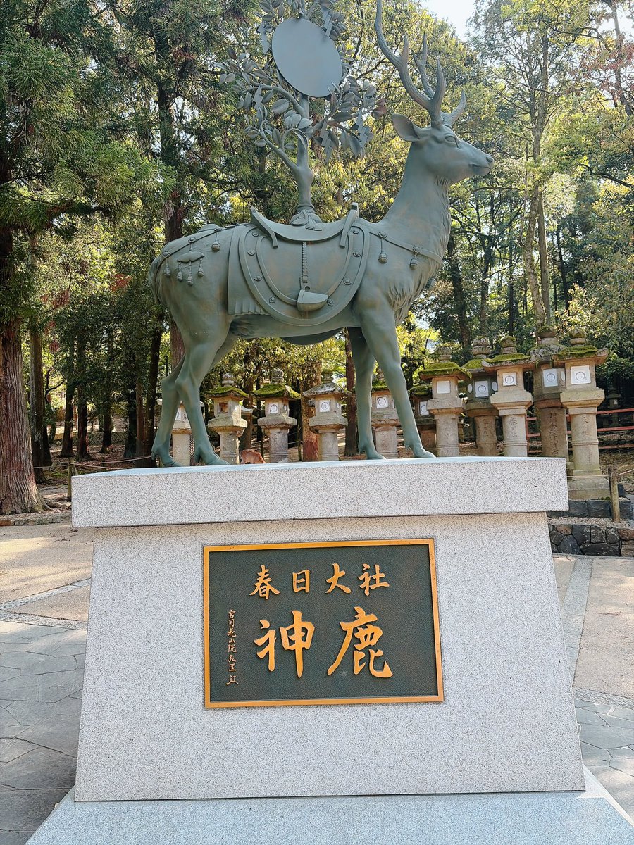 ailove1986's tweet photo. 今回のGWは久しぶりに泊まりで帰省✨
初めて春日大社の萬葉植物園に(*>∀<)ﾉ♪
というかあることすら知らなかった(笑)

昭和7年（1932年）に開園した、日本で最も古い萬葉植物園

らしい、、、

藤の花綺麗でした😍

お墓参りもしたし、お土産いっぱいゲットしたし、色々満載で満足♥️ https://t.co/36IzHDcNGq