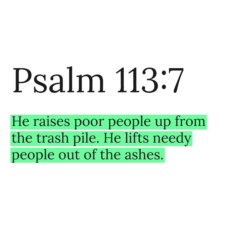 Holy Bible tweet media