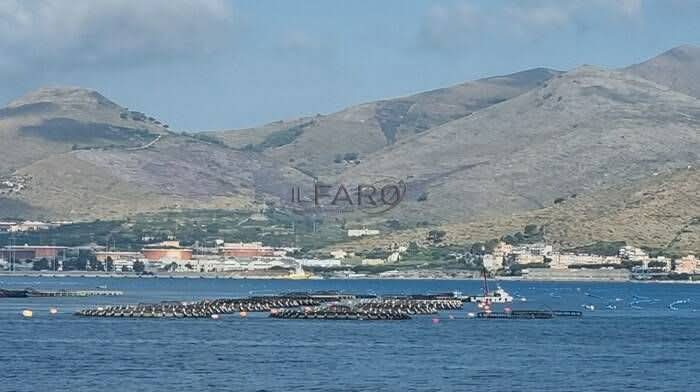 AREA MARINA PROTETTA A FORMIA: IL TAVOLO DELLA BEFFA. NESSUNA TUTELA SENZA LA DELOCALIZZAZIONE DEGLI IMPIANTI!
facebook.com/share/p/1EEgxy…