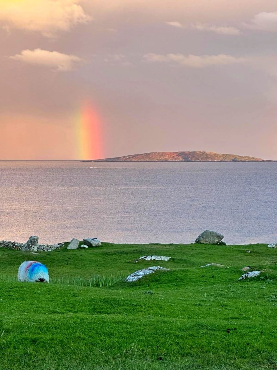 ThisIsIreland3's tweet image. This is yesterday evening around half 9 ... Right place, right time....The Rainbow &amp;amp; Deer Island 🌈 🏞️

📍County Galway - Ireland 🇮🇪 

📸 Connemara Man Photography

#Connemara #Ireland #Galway #Rainbow #Deerisland