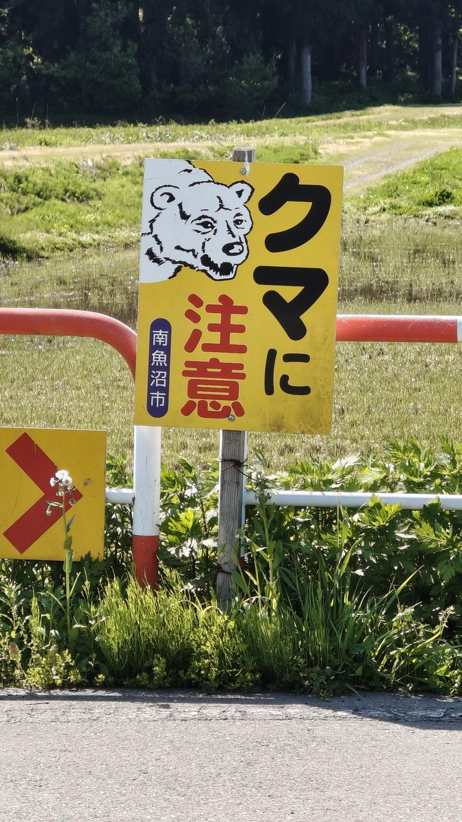 Koshoi tweet media