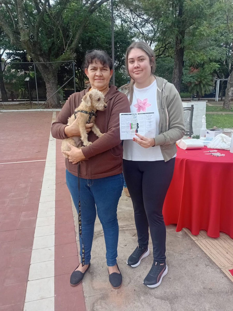 defensanimalpy's tweet photo. 🙌Este esfuerzo conjunto refuerza nuestro compromiso con el bienestar animal y la salud pública de nuestra capital. Agradecemos a todos los tutores responsables que se acercaron para proteger a sus fieles compañeros.

#DefensaAnimalPy🐾
#GobiernoDelParaguay🇵🇾 https://t.co/GKI1wzlYFm
