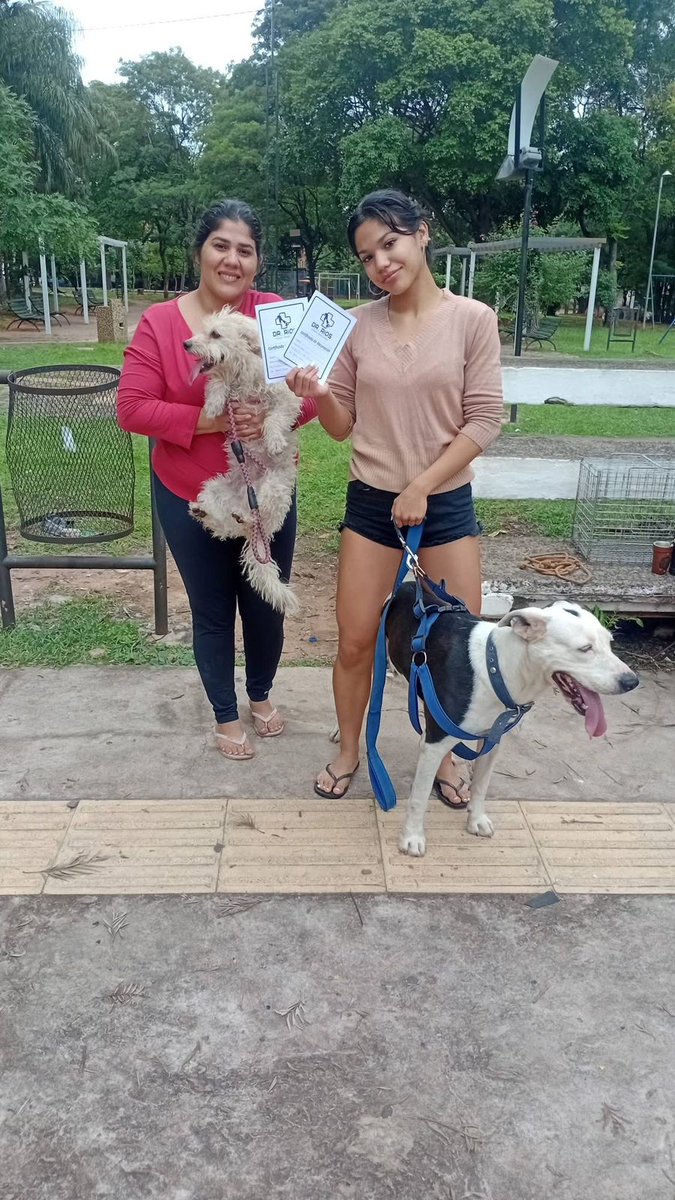 defensanimalpy's tweet photo. 🙌Este esfuerzo conjunto refuerza nuestro compromiso con el bienestar animal y la salud pública de nuestra capital. Agradecemos a todos los tutores responsables que se acercaron para proteger a sus fieles compañeros.

#DefensaAnimalPy🐾
#GobiernoDelParaguay🇵🇾 https://t.co/GKI1wzlYFm