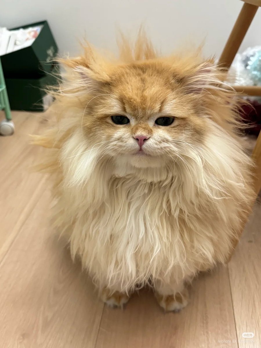 Just woke up
