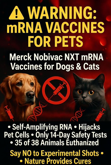 kelllynn28's tweet image. Pets, cats, dogs, pet vaccines, Nobivac, NobivacNXT

#Pets, #cats, #dogs, #petvaccines, #Nobivac, #NobivacNXT,