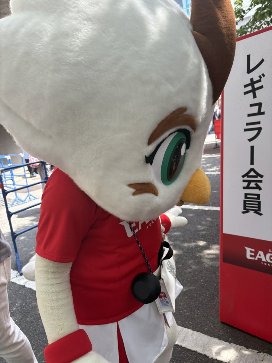もっ！@🏉🦅 tweet media
