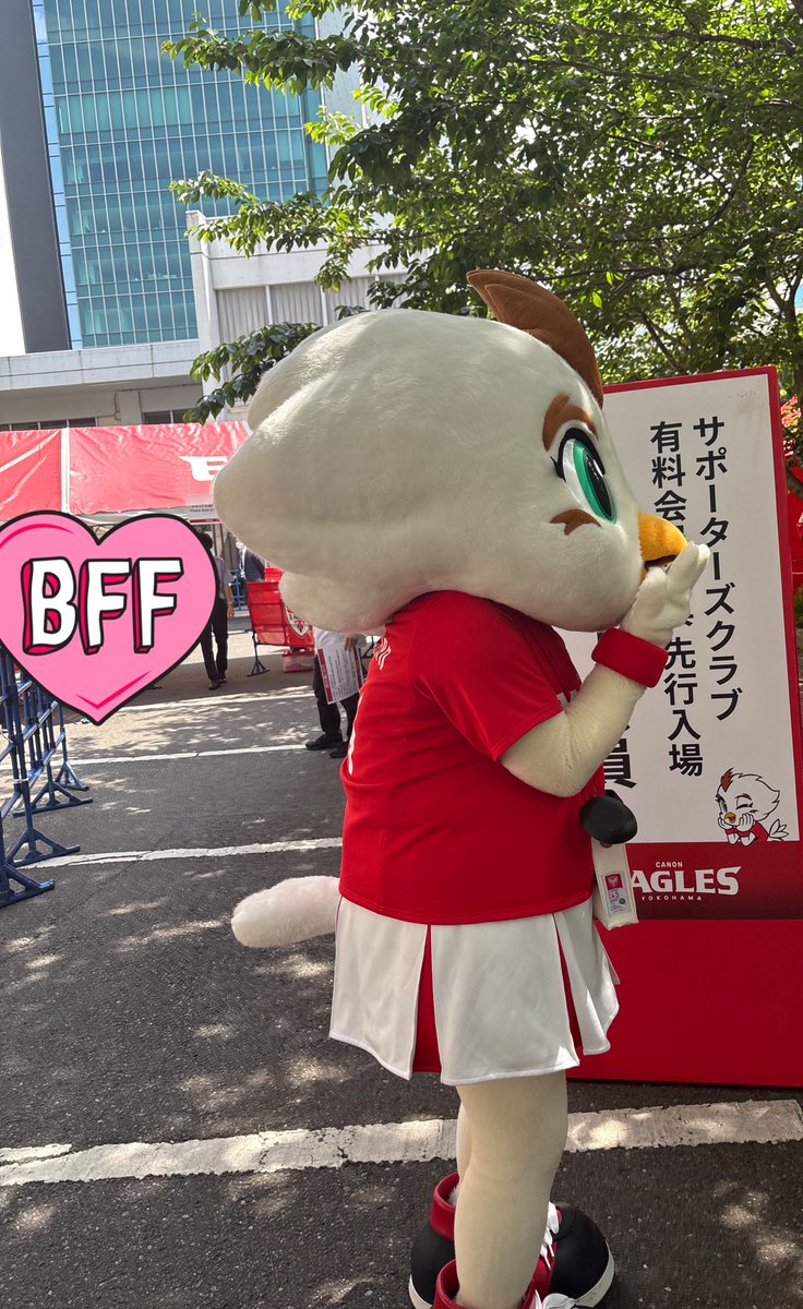 もっ！@🏉🦅 tweet media