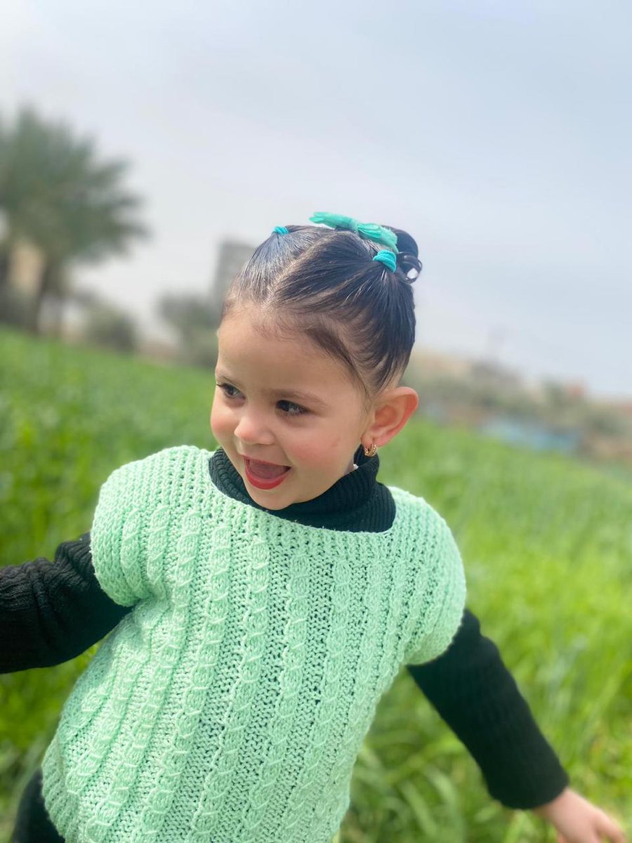 🇵🇸lana gaza tweet media