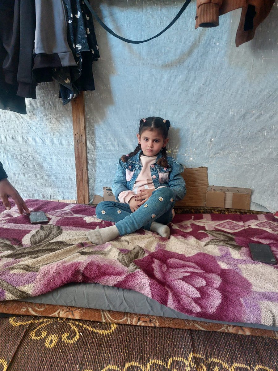 🇵🇸lana gaza tweet media
