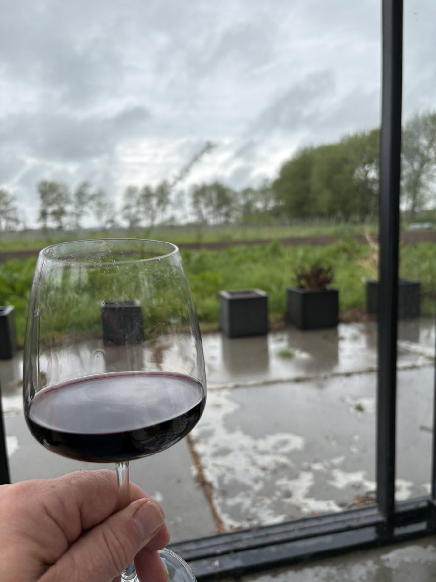 hansvanschie's tweet photo. Picknick bijna tussen de wijnranken van Domein Bergen 🧺🍷 https://t.co/6UzXU2iMWo