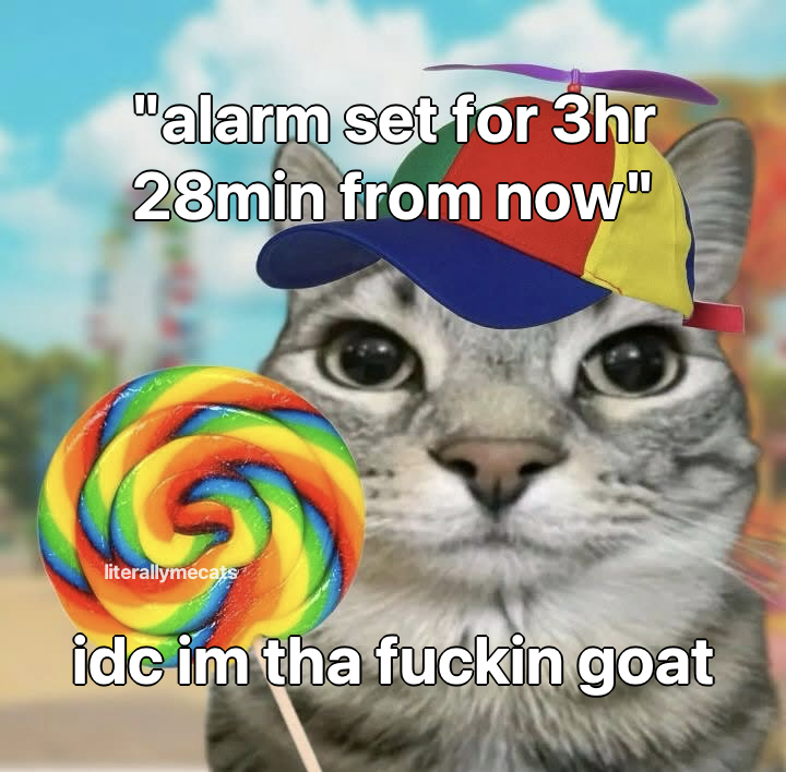 LiterallyMeCats tweet media