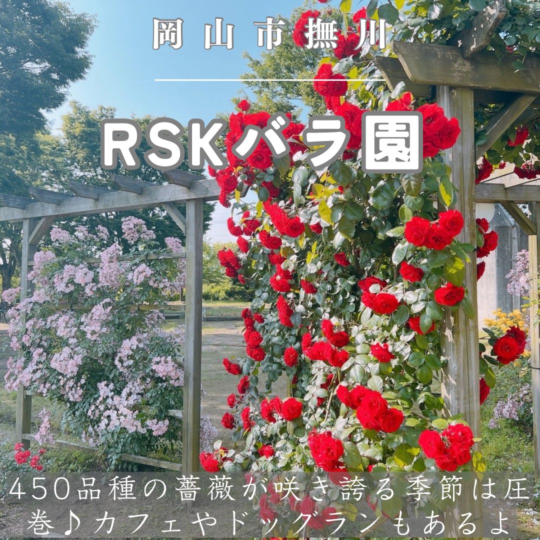 おかやまスタイル🍑岡山観光情報サイト tweet media