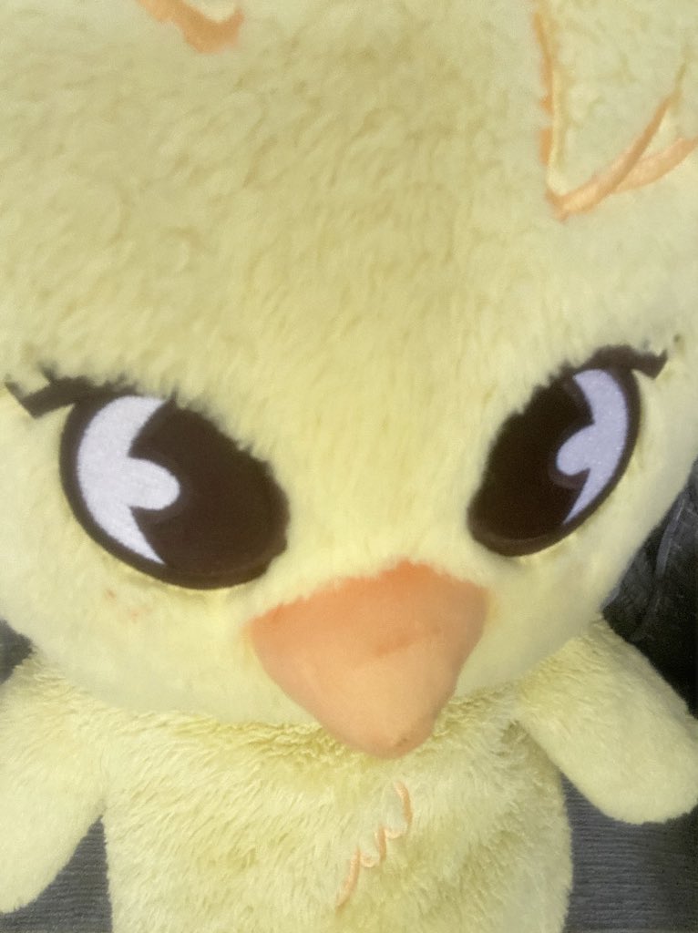 ax🦕🐈‍⬛ tweet media