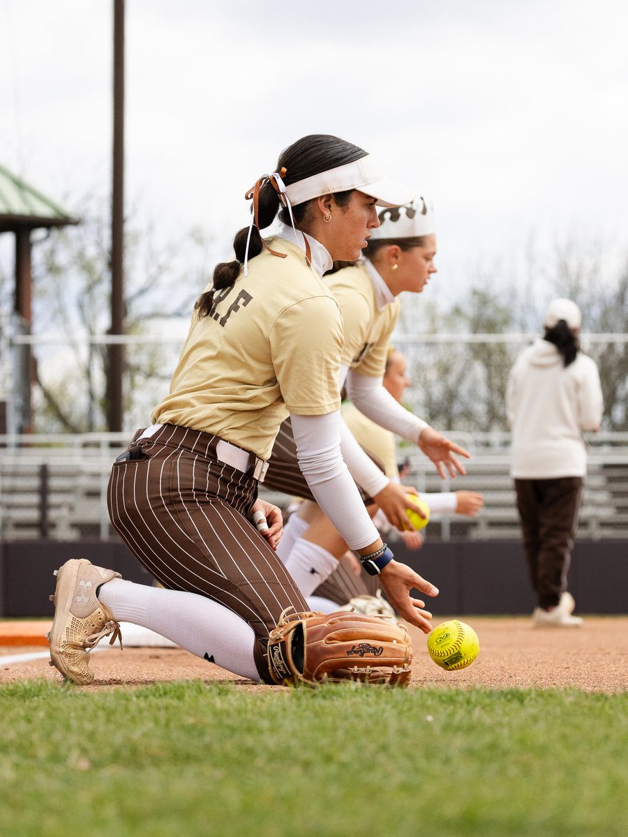 Lehigh Softball tweet media