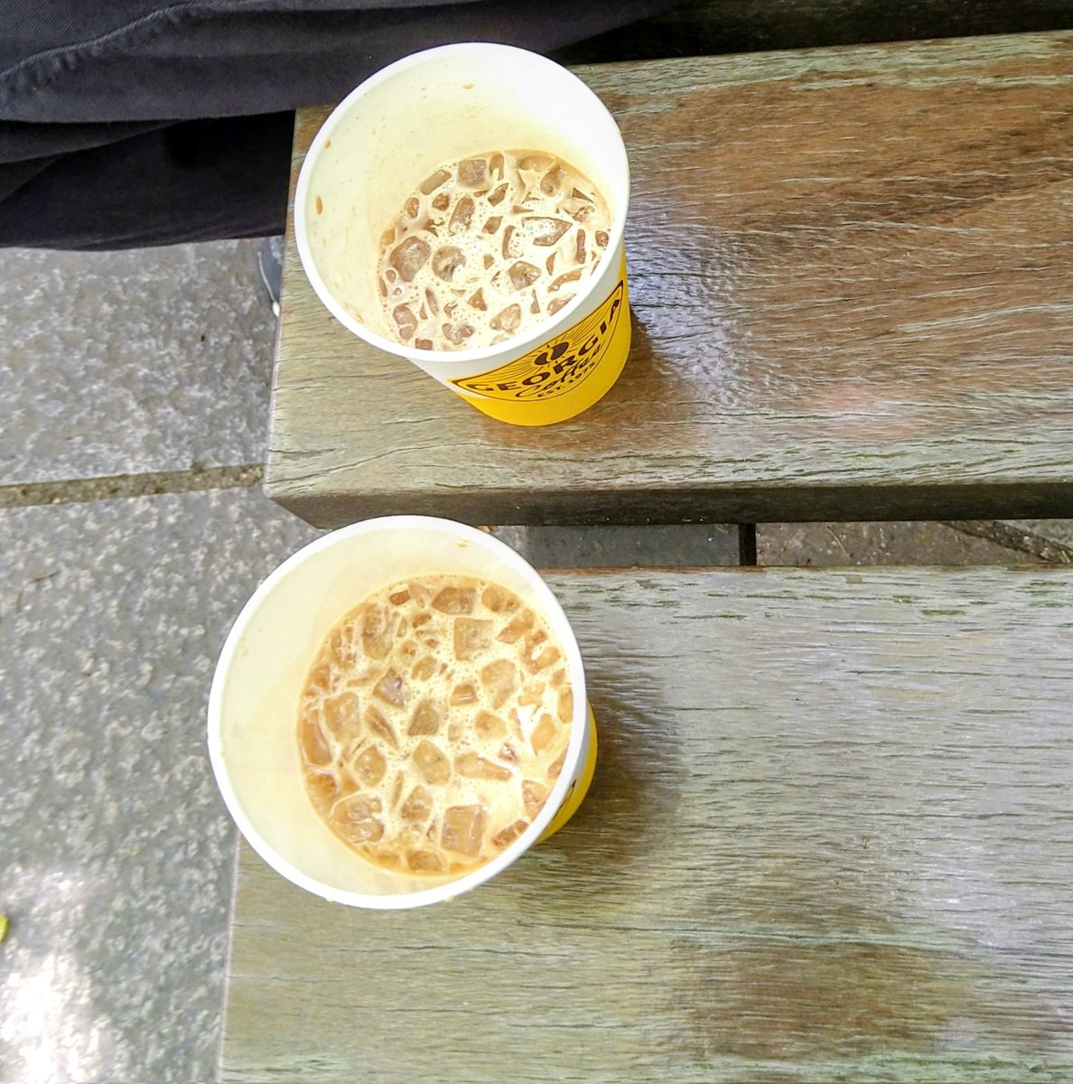 今日も夫と散歩してきました(東京藝大)。