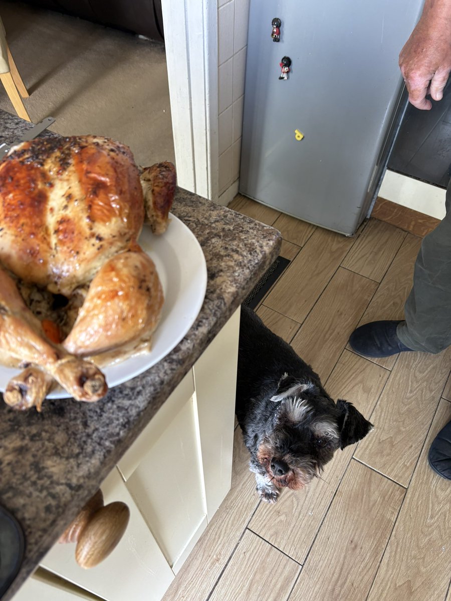 Welshman2008's tweet photo. “Bailey to Ground control the chicken has landed repeat the chicken 🍗 has landed 🛬 will report back after sampling has been completed over and out” https://t.co/lFGuj5F740