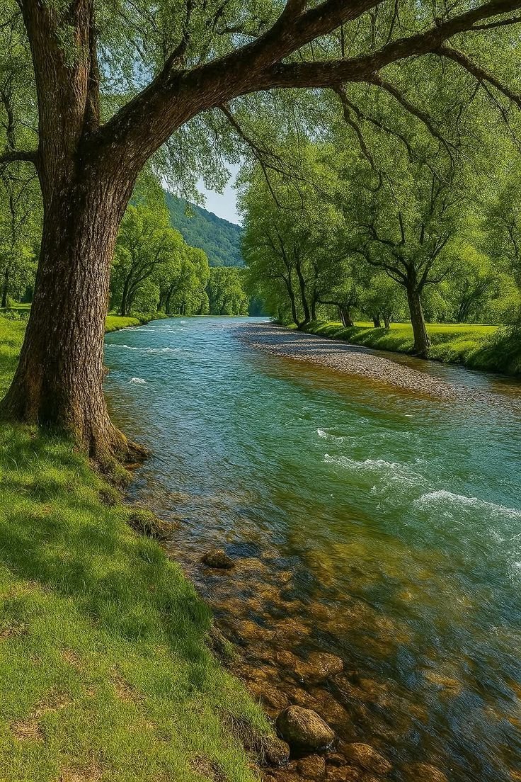 Purely Green tweet media