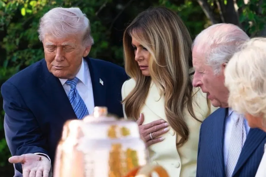 rockyoumentally's tweet image. Pres Trump.. The Beekeeper. 

Time for grifters and scammers to start running..

#trumpspeech #bee #charles #melania #thebeepeeker #sting #uk #whitehouse #grifters