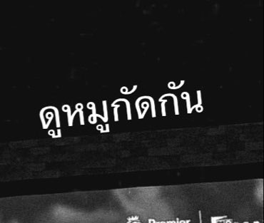 ไข่ดาว🍳🍋🐢ᥫᩣ•◡̈• tweet media