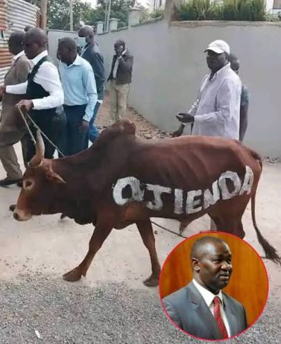 Willis Evans Otieno tweet media