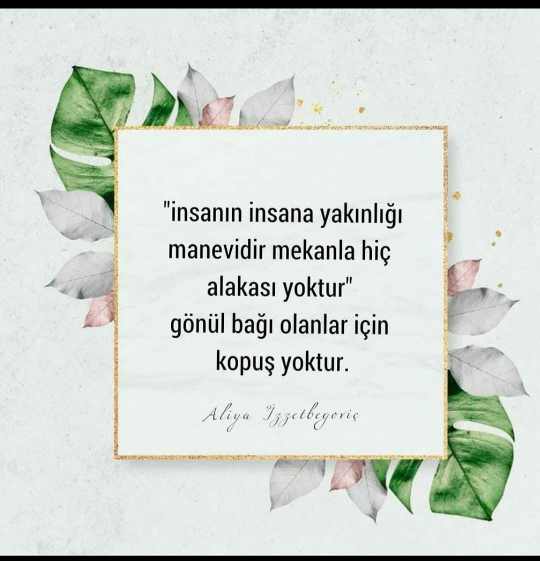 serpil (@srpl_ykl) on Twitter photo 