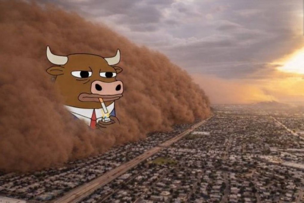 🍼🐂$babyBULL $BULL Maxi tweet media