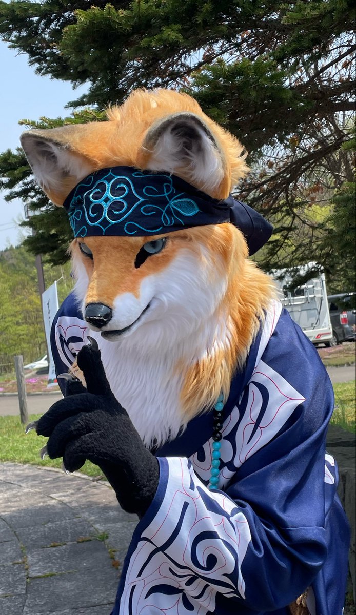 ふくわん✨🦊 tweet media