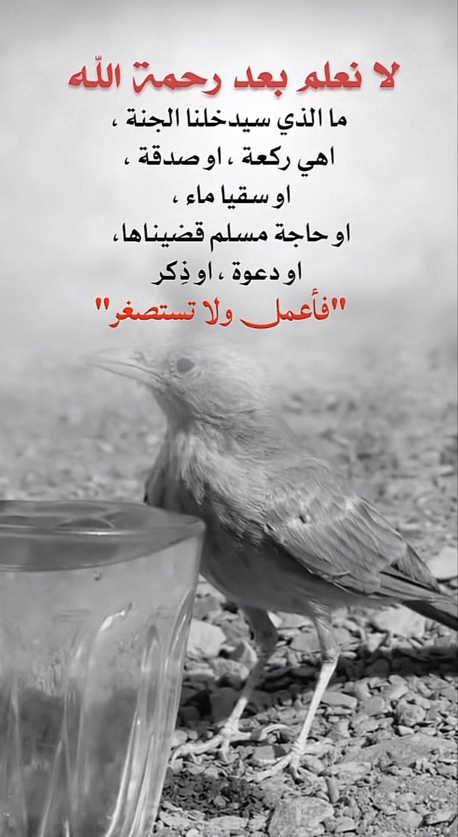 نجمة سدير tweet media
