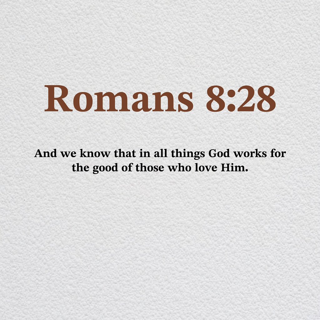 Holy Bible tweet media