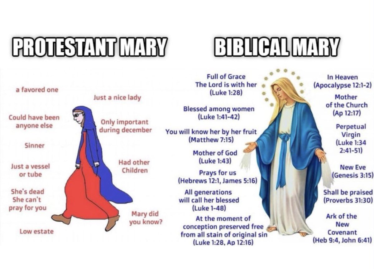 Cedars and Saints🇻🇦 tweet media