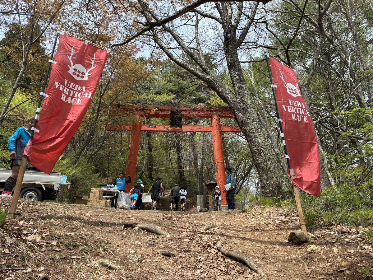 ランマニア tweet media