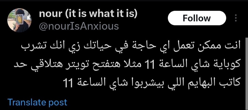 عبدالرحمن tweet media
