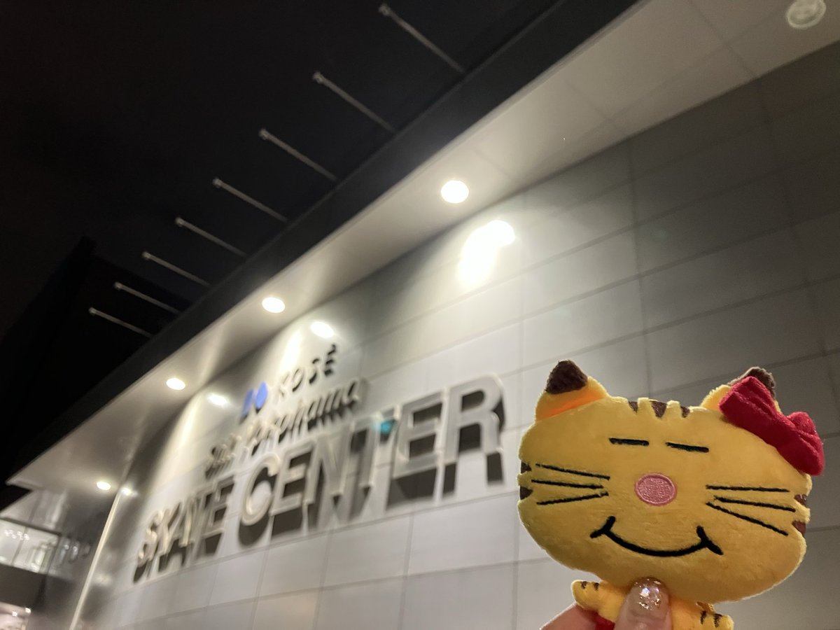 akn🧸🍯💛 tweet media