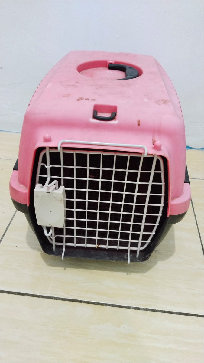 acielparkk's tweet image. Pet Cargo, kandang kucing dom jaktim dan sekitarnya harga dm aja. jual murah krn kebeli 2 ukuran XL  jual cepet krn kepenuhan barang #zonauan #kucing  #preloved