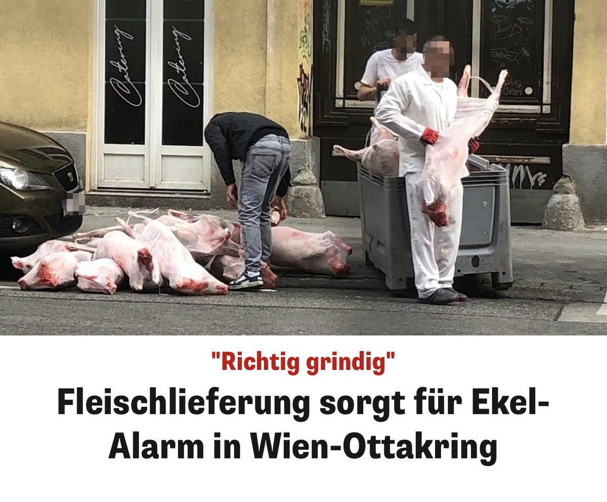 haka_vie's tweet image. Wer ganz #Afghanistan und #Syrien aufnimmt wird eben selbst zu Afghanistan und Syrien. 
Danke #Ludwig 

#Wien 
#SPÖ
#wienliebe