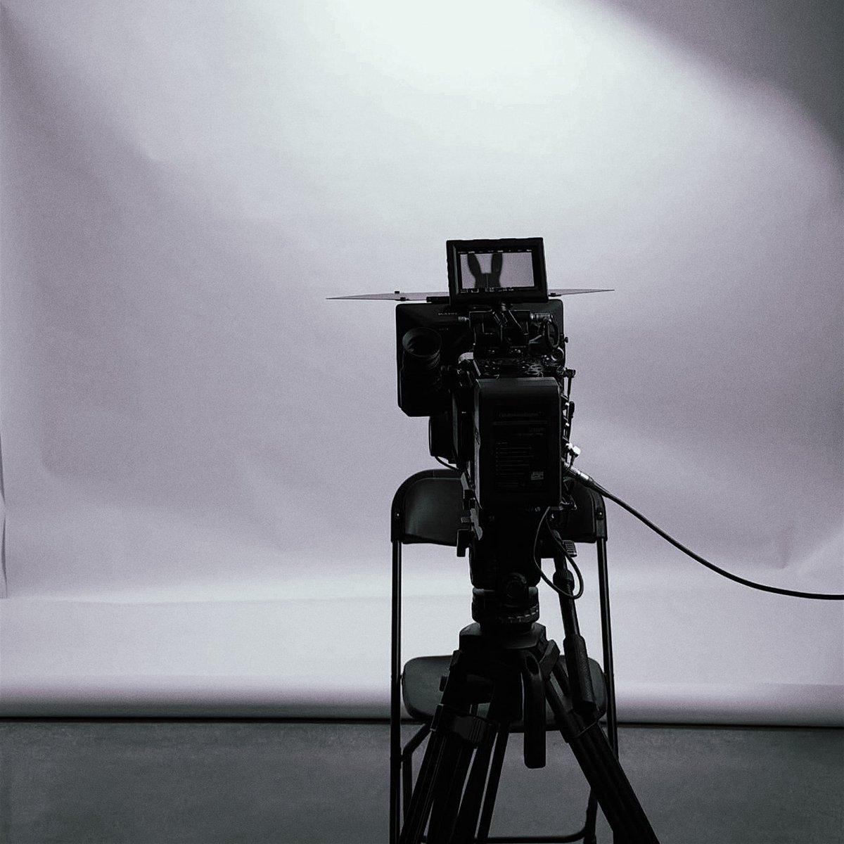 pola ꕤ tweet media