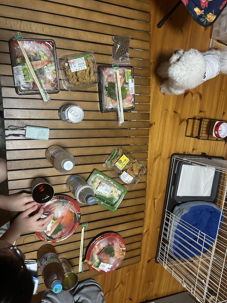 ムーバ@次走未定　北九州ランナー tweet media