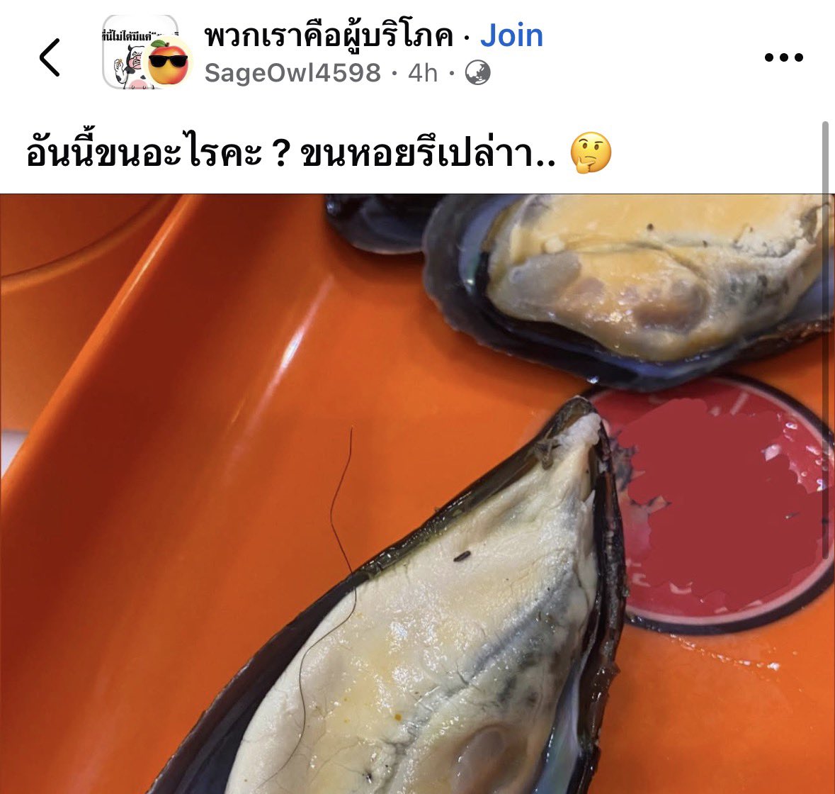 ช่วยกูด้วย กุขำมาจะชมแล้ว 5455555545545