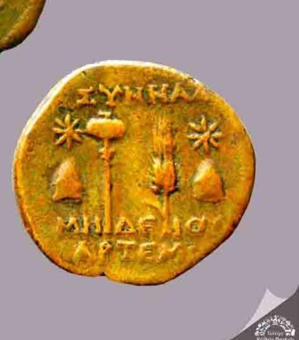 Hapaaura tweet media