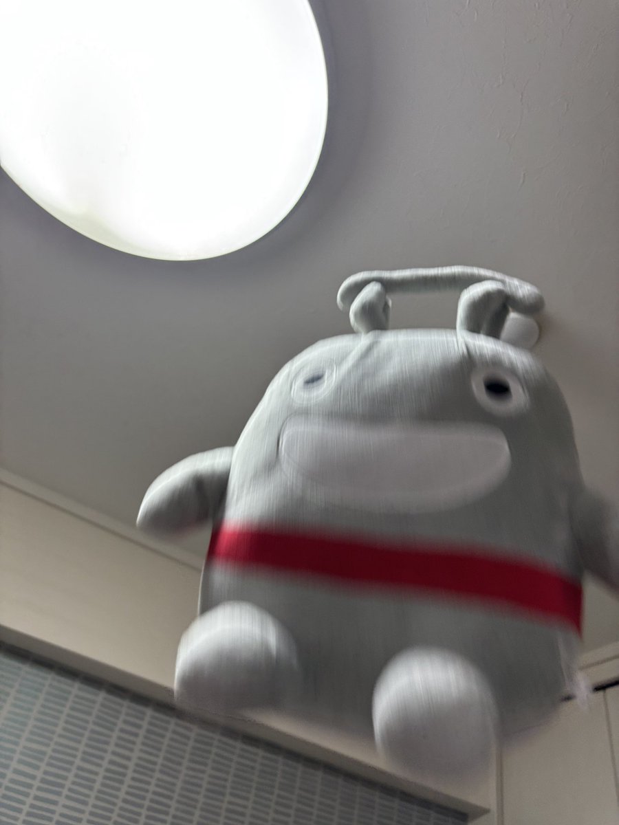 すずみや tweet media